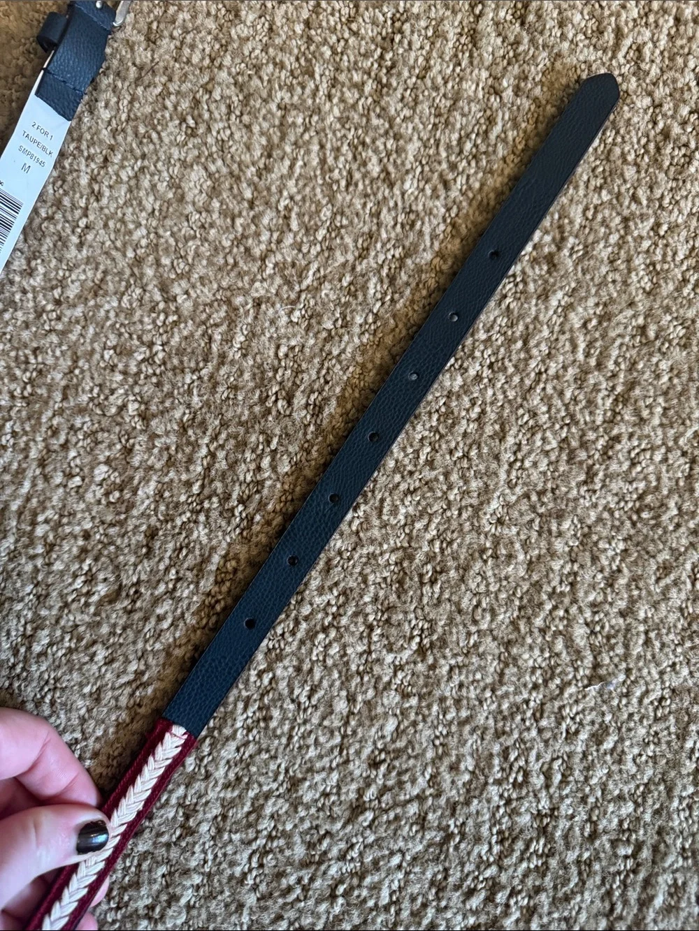 NWOT Steve Madden Belt
